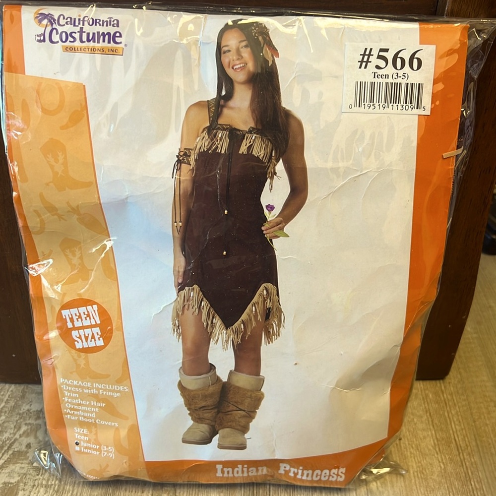 Indian princess costume